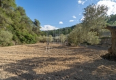 Non-developable land for sale on España, la Fatarella, ref: TR180925 photo