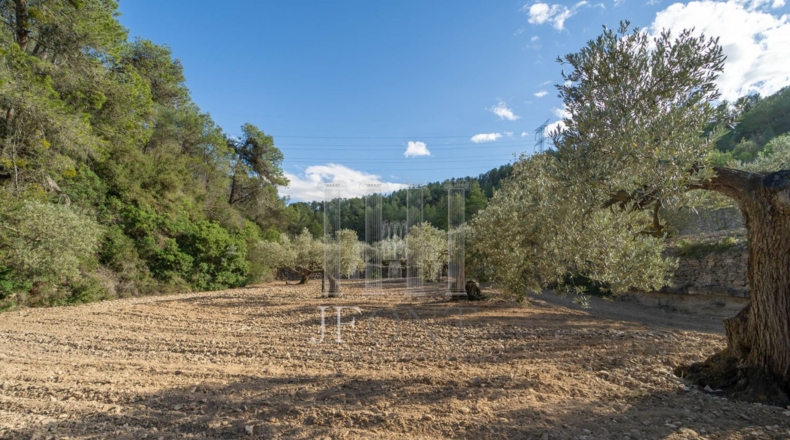 Tarragona - Ribarroja de Ebro - 10266m2
