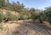 Non-developable land for sale on España, la Fatarella, ref: TR180925 photo