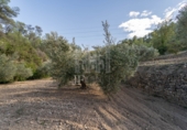 Non-developable land for sale on España, la Fatarella, ref: TR180925 photo