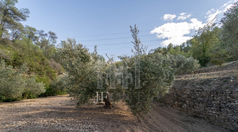 Tarragona - Ribarroja de Ebro - 10266m2