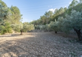 Non-developable land for sale on España, la Fatarella, ref: TR180925 photo