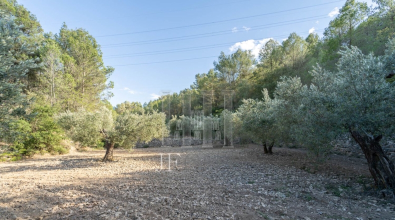 Tarragona - Ribarroja de Ebro - 10266m2