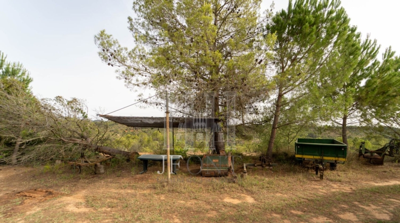 Tarragona - Tivissa - 95866m2