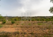Finca rústica en venda a Tivissa ref.: TR281175 foto
