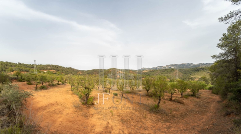 Tarragona - Tivissa - 95866m2