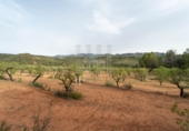Finca rústica en venda a Tivissa ref.: TR281175 foto