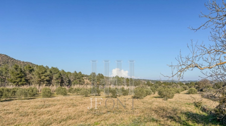 Tarragona - Garcia - 19822m2