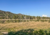 Finca rústica en venda a la España, Garcia, ref.: TR256153 foto