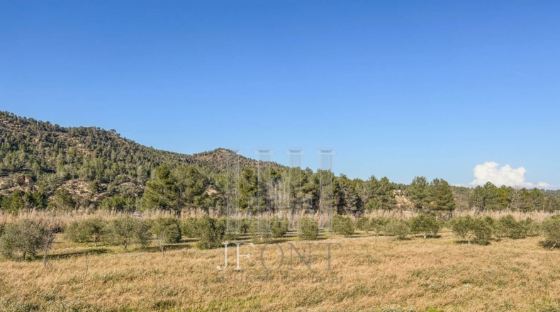 Tarragona - Garcia - 19822m2