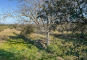 Finca rústica en venda a la España, Garcia, ref.: TR256153 foto