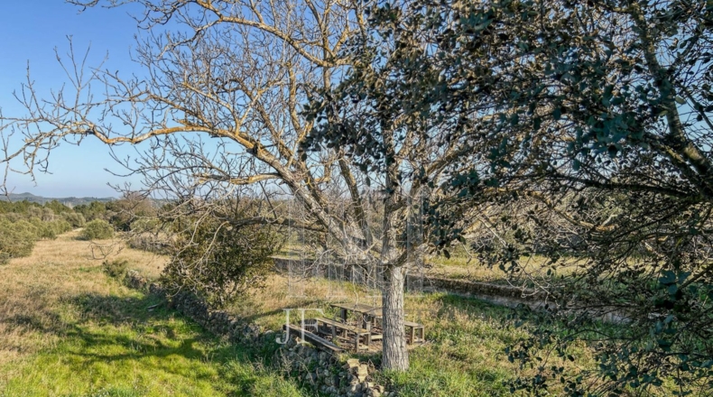 Tarragona - Garcia - 19822m2