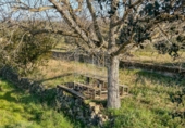 Finca rústica en venda a la España, Garcia, ref.: TR256153 foto