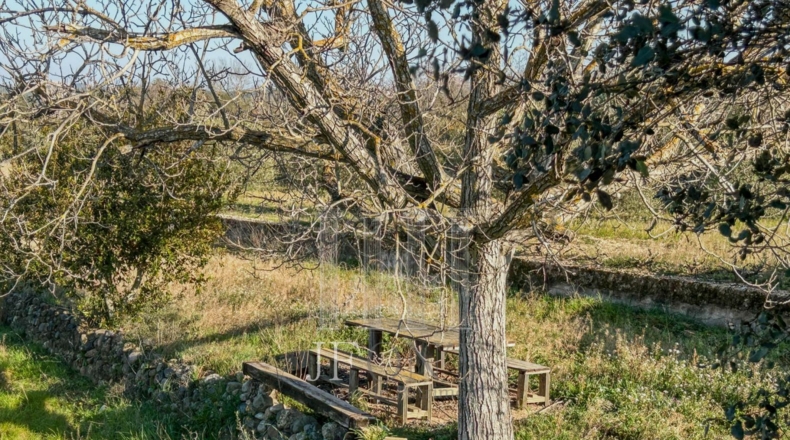 Tarragona - Garcia - 19822m2