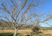 Finca rústica en venda a la España, Garcia, ref.: TR256153 foto