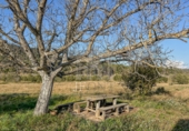 Finca rústica en venda a la España, Garcia, ref.: TR256153 foto