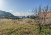 Finca rústica en venda a la España, Garcia, ref.: TR256153 foto