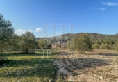 Finca rústica en venda a la España, Garcia, ref.: TR256153 foto