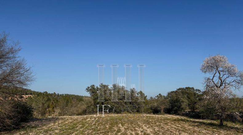 Tarragona - Garcia - 19822m2