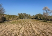 Finca rústica en venda a la España, Garcia, ref.: TR256153 foto