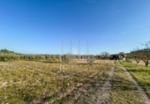 Finca rústica en venda a la España, Garcia, ref.: TR256153 foto