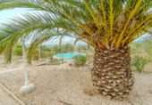 Rural estate for sale in Ginestar ref: TR326215 photo