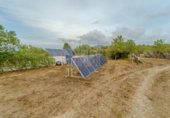 Rural estate for sale in Ginestar ref: TR326215 photo