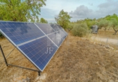 Rural estate for sale in Ginestar ref: TR326215 photo