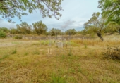 Rural estate for sale in Ginestar ref: TR326215 photo