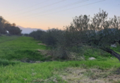 Terreno no urbanizable en venta en Alhaurín el Grande ref: TR92506 foto