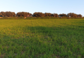Terreno no urbanizable en venta en Alhaurín el Grande ref: TR92506 foto