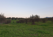 Terreno no urbanizable en venta en Alhaurín el Grande ref: TR92506 foto