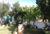 Chalet independiente con terreno en venta en La Roda ref: TR21386 foto