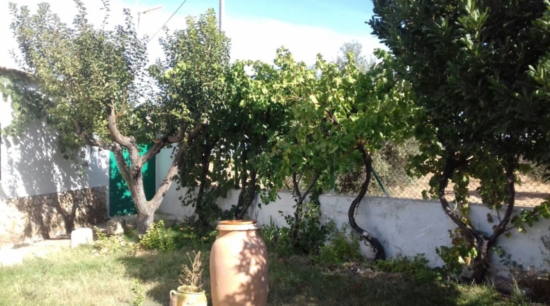 Albacete - Fuensanta - 300m2