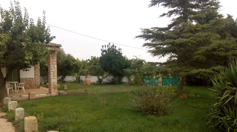 Albacete - Fuensanta - 300m2