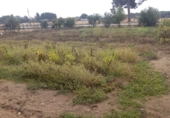Chalet independiente con terreno en venta en La Roda ref: TR21386 foto