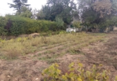 Chalet independiente con terreno en venta en La Roda ref: TR21386 foto