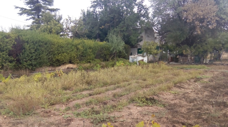 Albacete - Fuensanta - 300m2