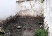 Village house for sale in La Roda ref: TR200048 photo