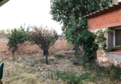 Village house for sale in Minaya ref: TR187319 photo
