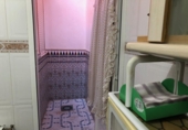 Village house for sale in Minaya ref: TR187319 photo