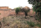 Village house for sale in Minaya ref: TR187319 photo