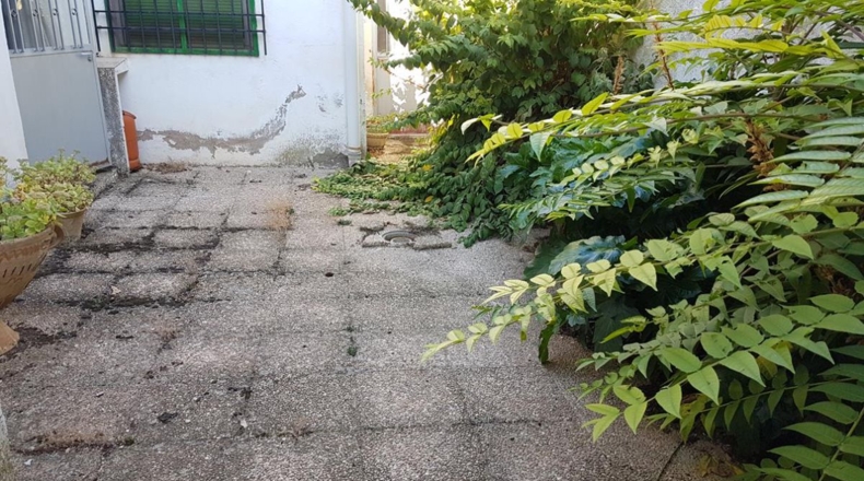 Albacete - Minaya - 445m2