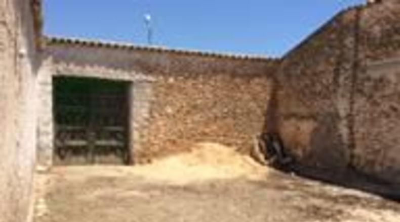 Albacete - Minaya - 445m2