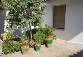 Village house for sale in Sisante ref: TR201587 photo