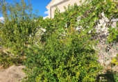 Chalet independiente con terreno en venta en Sisante ref: TR102206 foto