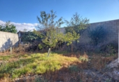 Chalet independiente con terreno en venta en Sisante ref: TR102206 foto