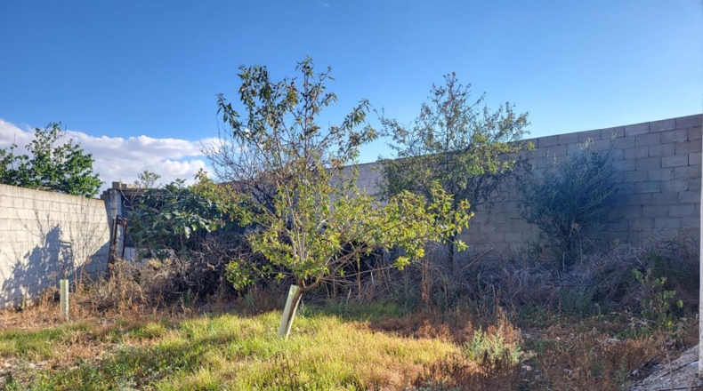 Cuenca - Sisante - 1350m2