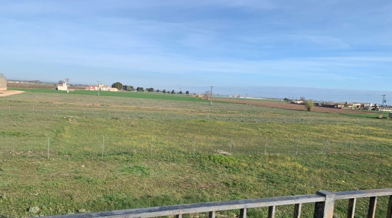 Albacete - Albacete - 687m2