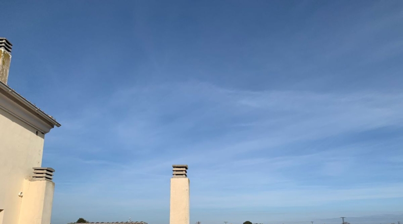 Albacete - Albacete - 687m2